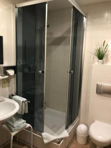 魏森费尔斯斯科恩奥西赫特酒店的带淋浴、卫生间和盥洗盆的浴室