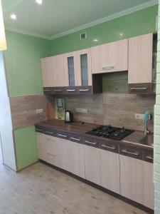 赫梅利尼茨基Апартаменты по Панаса Мирного.的厨房配有木制橱柜和炉灶烤箱。