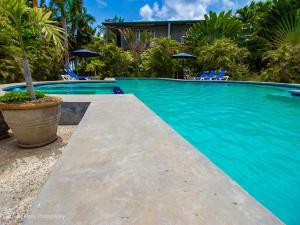 科罗萨尔Almond Tree Hotel Resort的一个带蓝色椅子的游泳池