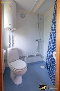 Bjuråker亿特马伦格斯露营酒店的一间带卫生间和淋浴帘的浴室