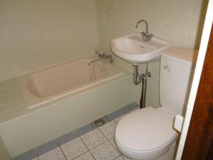 竹富岛Sapunaya-さぷな家的浴室配有卫生间、盥洗盆和浴缸。