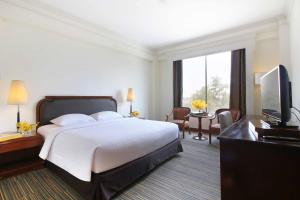 呵叻呵叻府会议中心及帝国酒店的配有一张床和一台平面电视的酒店客房