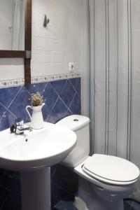 Itziar阿里奥拉塔希奇乡村民宿的一间带卫生间和水槽的浴室