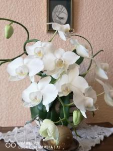 巴尔维DvīņuMājas Vintage B&B的花瓶,上面有白色的花朵