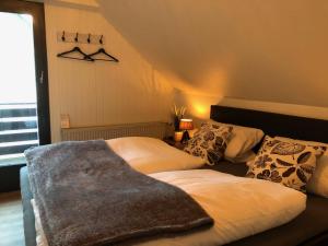 梅德巴赫Fennies Hütte的一间卧室设有两张床和窗户。
