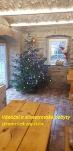 里马若夫Chata Na Kovárně的木桌的房间里,有圣诞树