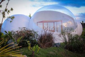 喀巴里特Green Land Bubble Glamping的植物场上的两个大球