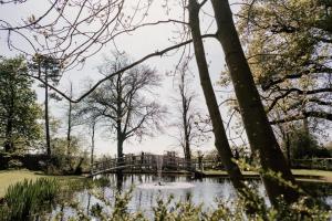 切姆波特兰公园酒店的一座树木繁茂的公园里一座池塘上的桥梁