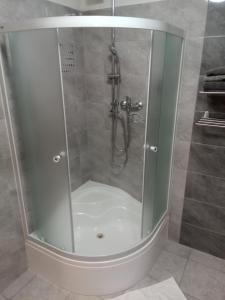 斯维塔维Pension Fontána Svitavy的浴室里设有玻璃门淋浴