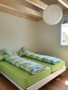 BischofszellSitter-Panorama的客房内的沙发上配有枕头