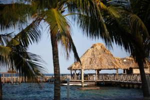 霍普金斯Thatch Caye Resort a Muy'Ono Resort的海滩上设有码头和棕榈树