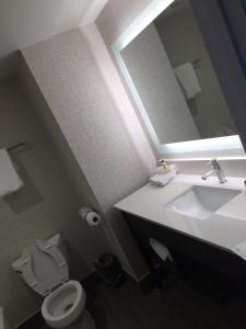 奥兰治堡Holiday Inn Express & Suites Orangeburg, an IHG Hotel的一间带水槽、卫生间和镜子的浴室