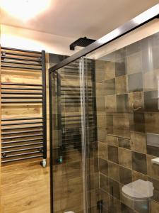 布勒伊-切尔维尼亚Central Apart Chalet的浴室铺有木地板,设有玻璃淋浴间。