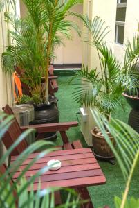 瓜埠名古屋酒店的天井种有长椅和棕榈树及植物