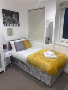 泰恩河畔纽卡斯尔Newcastle City Centre Apartment Ideal for Holiday, Contractors, Quarantining的一间卧室配有一张带镜子的大床