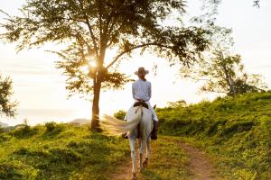 南圣胡安TreeCasa Hotel & Resort Nicaragua的骑着白马沿着土路的人