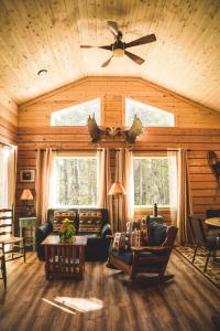 希利Denali Wild Stay - Moose Cabin, Free Wifi, 2 private bedrooms, sleep 6的带沙发和吊扇的客厅