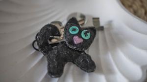 亚斯塔尔尼亚Domki u Kota i Psa的一只小黑猫,眼睛绿