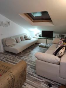 Cervera de BuitragoCerverahouse的客厅配有2张沙发和1台平面电视