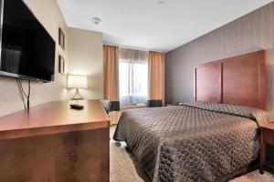 皇后区Hotel Pergola Jamaica JFK的酒店客房配有一张床和一张书桌及一台电视