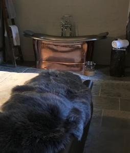 GodshillStreet Farmhouse的一只猫躺在浴缸旁边的地板上