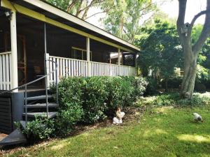 塔姆沃思Peaceful cabin in a rural setting 2km from CBD的两只鸡坐在房子旁边的草上