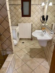Ágios MinásComfortable Apartment in Village Saint Minas的一间带水槽和卫生间的浴室