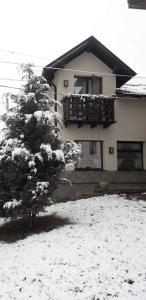 古拉哈莫卢洛伊Black Valley House的房子前面的雪覆盖的树