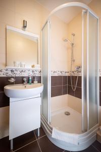 班斯卡-比斯特里察Penzion Hastrman的带淋浴和盥洗盆的浴室