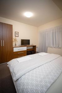 班斯卡-比斯特里察Penzion Hastrman的一间卧室配有一张床、一张书桌和一台电视