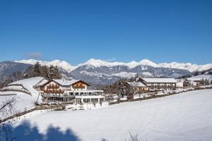 布列瑟农Hotel Torgglerhof的山丘上的房子,背景是山