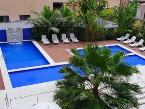 瓜鲁雅Flat Capitania em Pitangueiras perto da praia的一个带躺椅的游泳池,并种植了棕榈树