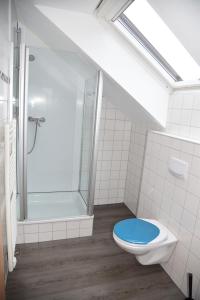 斯图加特阿莱克斯30号酒店的带淋浴的浴室和带窗户的卫生间
