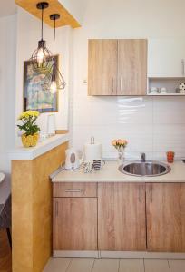 斯雷姆斯卡米特罗维察Apartman Mia的一个带木制橱柜和水槽的厨房