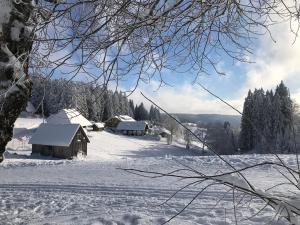 富特旺根Höhengasthaus Kolmenhof an der Donauquelle的一片雪覆盖的田野,远处有房子