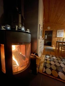 NuorgamAurora mökki porealtaalla Lapissa Tenojoen rannassa的带壁炉的客厅。