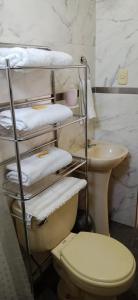 Nuevo ImperialLa Viña de OsCar的一间带卫生间的浴室和一个带毛巾的架子