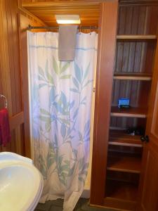 林肯市Whistling Winds Motel的一个带水槽的浴室内的淋浴帘