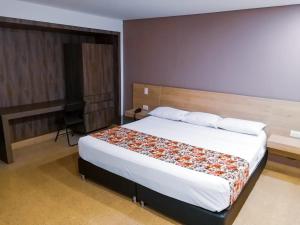 麦德林Hotel Poma Rosa的一间卧室,卧室内配有一张大床