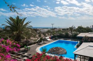 佩里沃罗Holiday Beach Resort Santorini的从房子里可欣赏到游泳池的景色