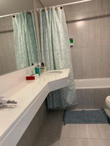 布宜诺斯艾利斯Nuevo Loft en Palermo Hollywood的一间带水槽、浴缸和淋浴的浴室