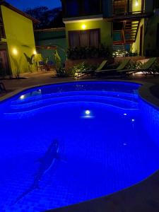 因巴塞The Madalena Pousada的游泳池在晚上点燃,里面有海豚