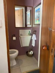 但尼丁Arden Country House - The Chalet Bed and Breakfast的一间带卫生间、水槽和镜子的浴室