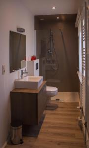 莫塞勒登布姆嘎德默尔塞尔住宿加早餐旅馆的一间带水槽、卫生间和淋浴的浴室