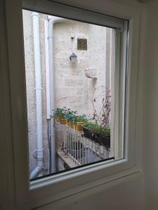 阿尔塔穆拉B&B del Corso Altamura的享有植物阳台景致的窗户