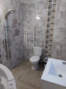 西格伏沙尔克甜蜜生活家庭旅馆的浴室配有卫生间、淋浴和盥洗盆。