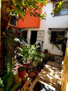 埃斯孔迪多港Casa Lomas del Marinero Internet Starlink SIN GARAJE的建筑前种有植物的庭院