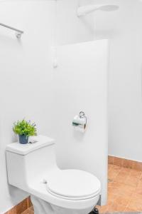 波托维耶霍Hotel Boutique Platanal的浴室设有卫生间,上面有植物