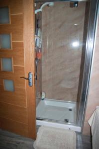 波特马多克Abergafren Lodge的浴室里设有玻璃门淋浴