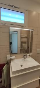 罗马Prato Smeraldo Apartment的一间带水槽和大镜子的浴室